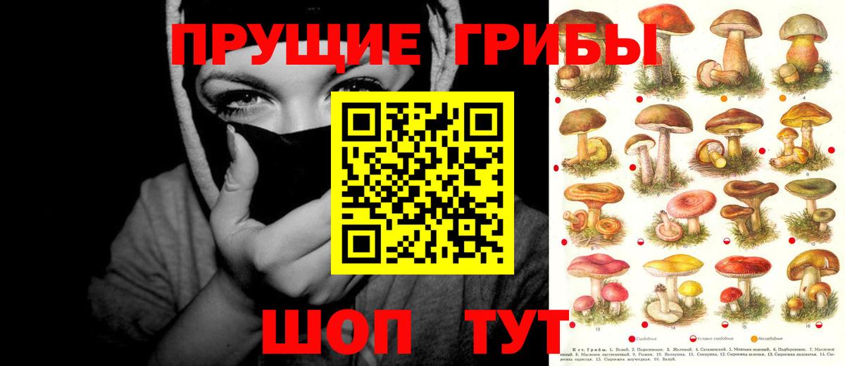 Галлюциногенные грибы мухоморы Вышний Волочёк