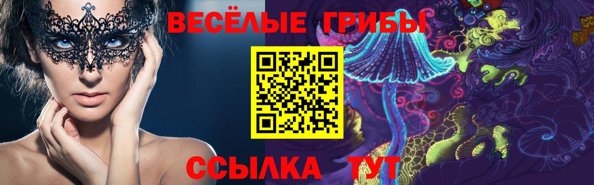 Галлюциногенные грибы MAGIC MUSHROOMS  даркнет сайт  Вышний Волочёк  Вход с VPN 